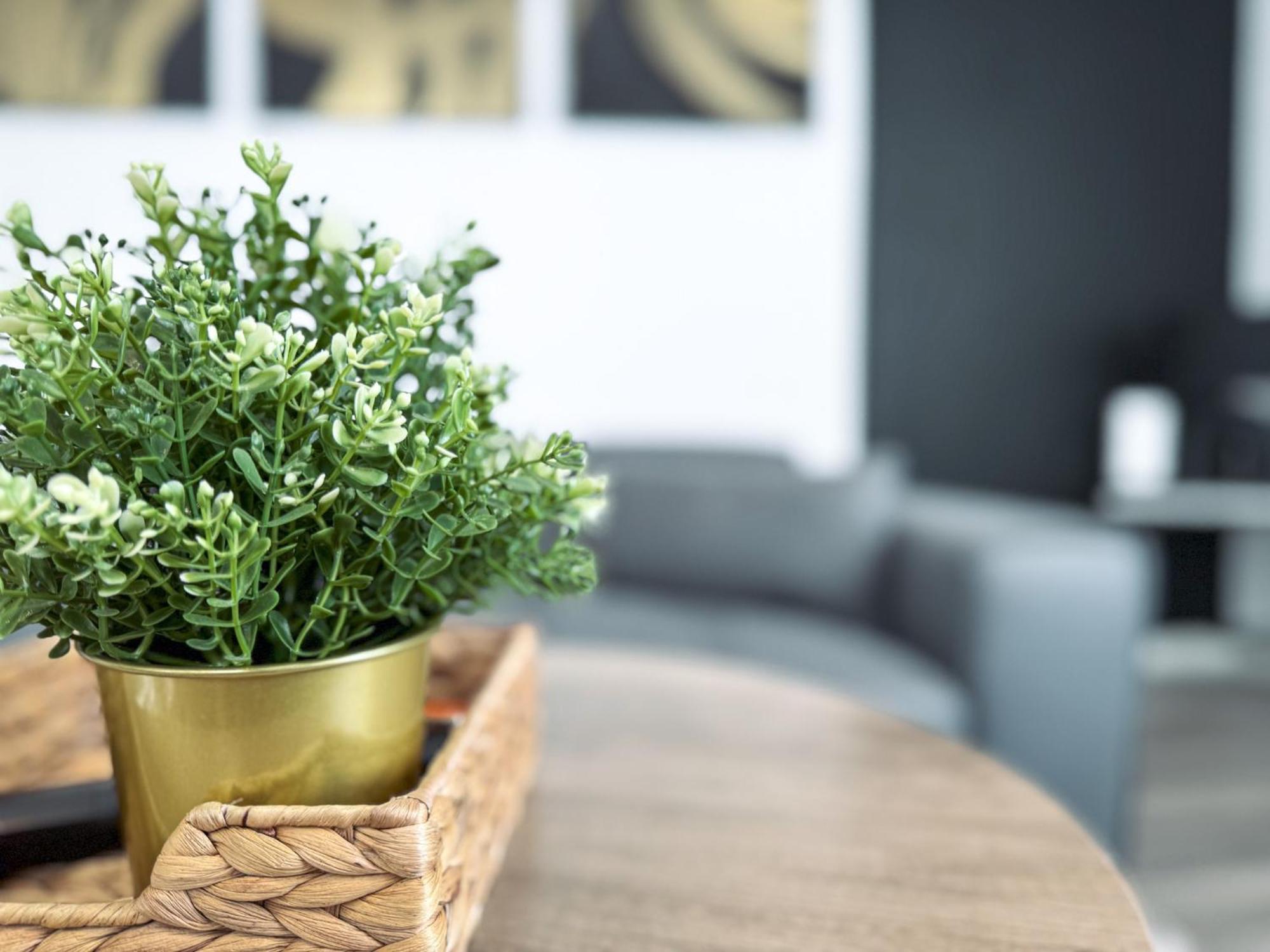 The Seven Suites Liverpool Ngoại thất bức ảnh